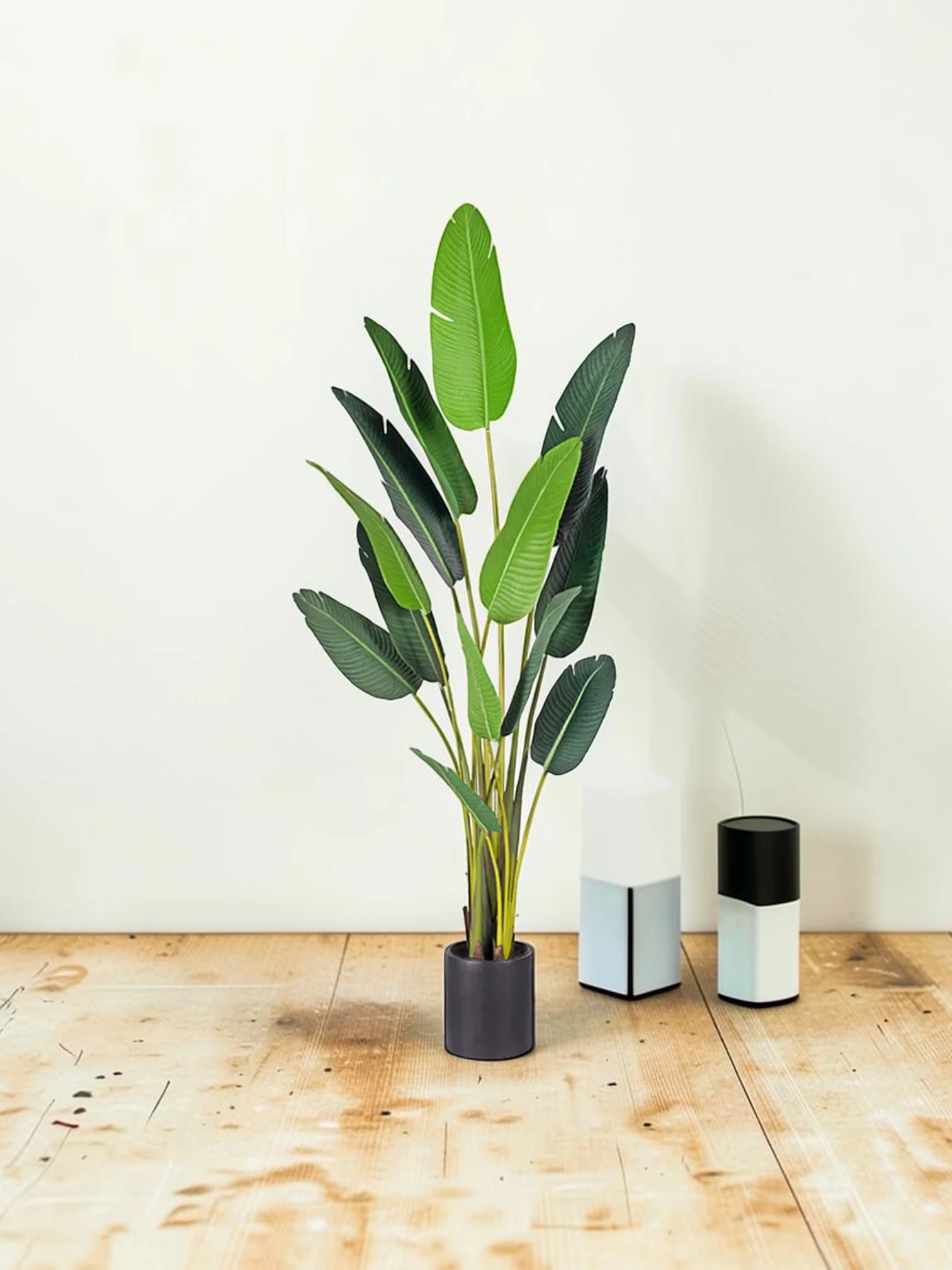 zorventhynis Artificial Giant Bird of Paradise Tree 220cm Indoor Faux Tropical Plant with Cement Base