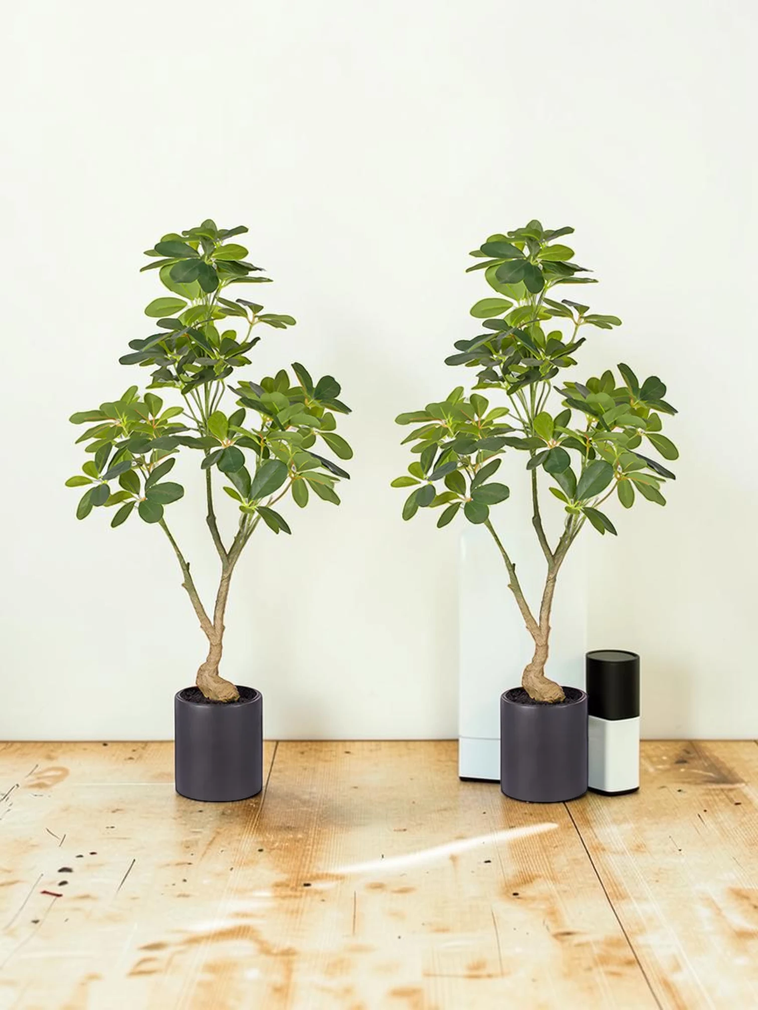 zorventhynis 2X 80cm Artificial Schefflera Tree Set - Plastic and Fabric Indoor Greenery