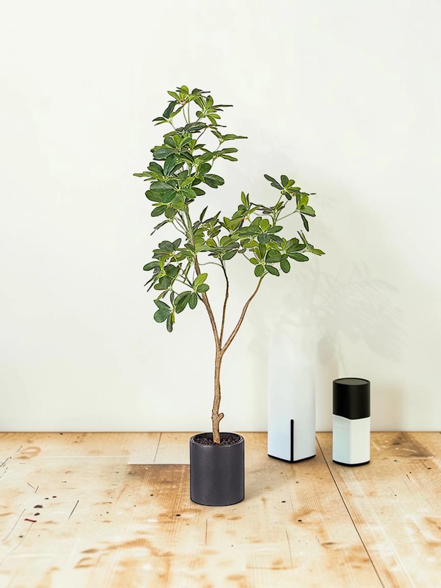 zorventhynis 160cm Artificial Schefflera Dwarf Umbrella Tree Indoor Plant Green Polyethylene
