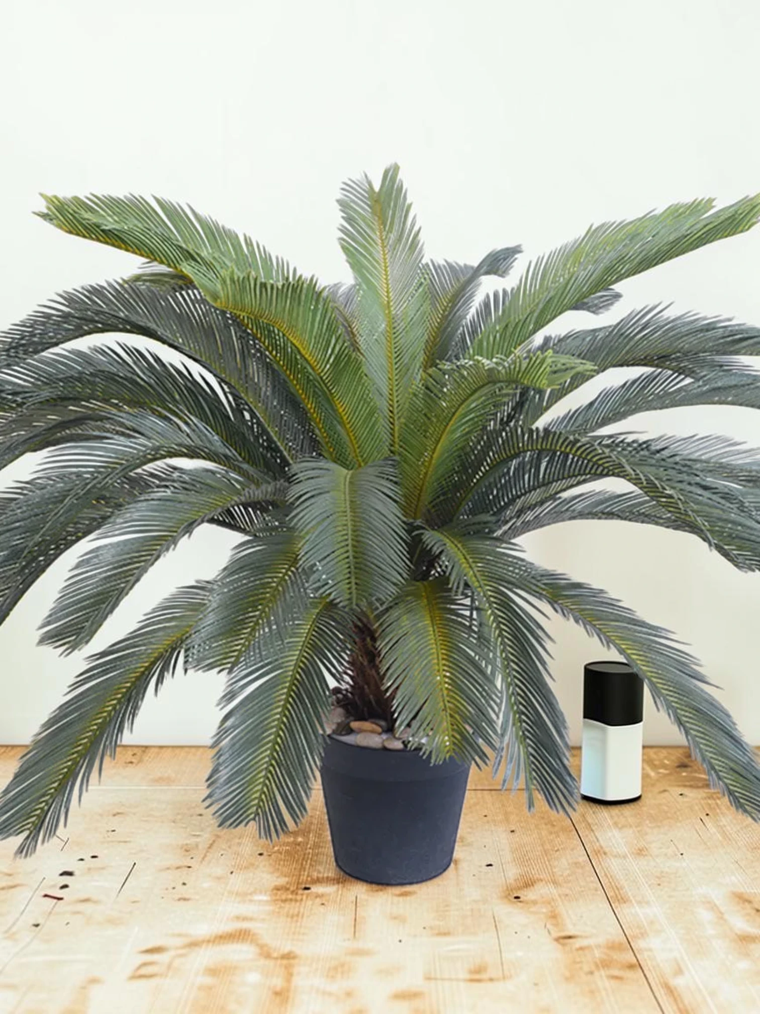 zorventhynis Artificial Cycas Revoluta Sago Palm Tree, Indoor Decorative Plant, 155cm
